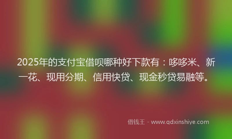 2025年的支付宝借呗哪种好下款有：哆哆米、新一花、现用分期、信用快贷、现金秒贷易融等。