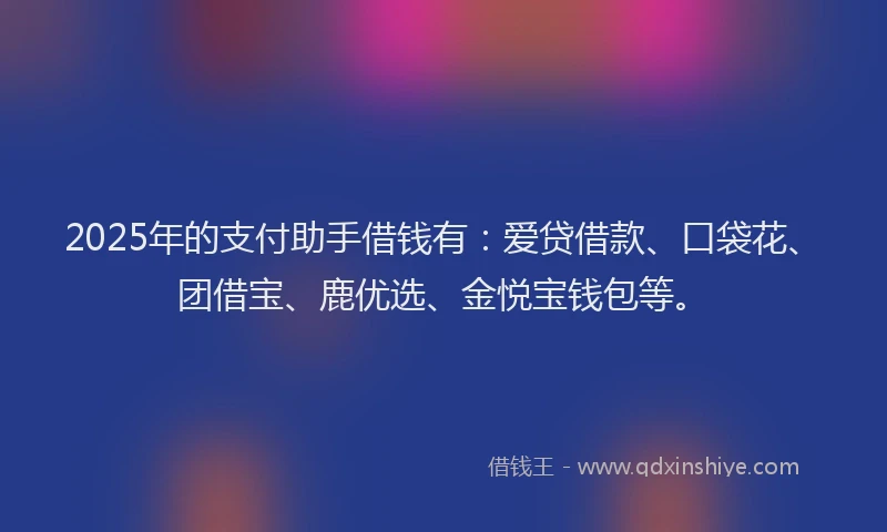 2025年的支付助手借钱有：爱贷借款、口袋花、团借宝、鹿优选、金悦宝钱包等。