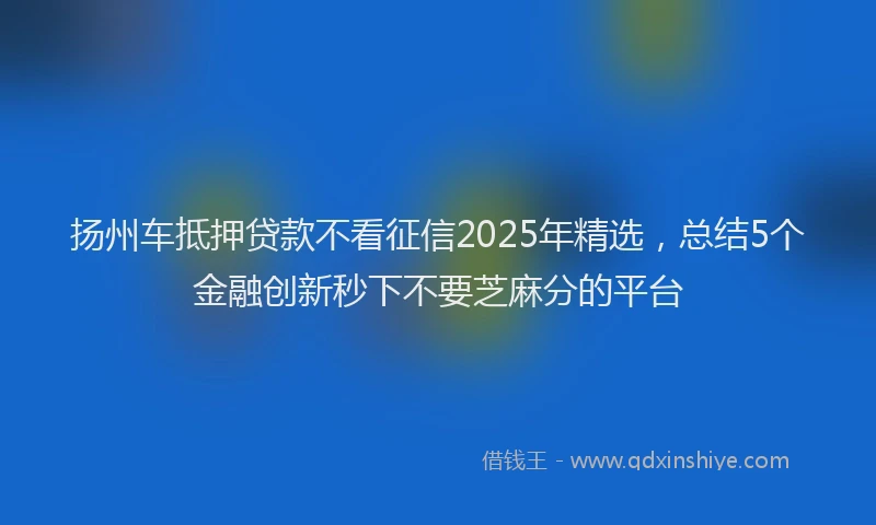 扬州车抵押贷款不看征信2025年精选，总结5个金融创新秒下不要芝麻分的平台