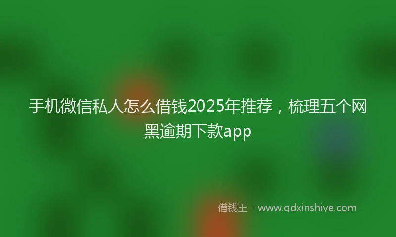 手机微信私人怎么借钱2025年推荐，梳理五个网黑逾期下款app