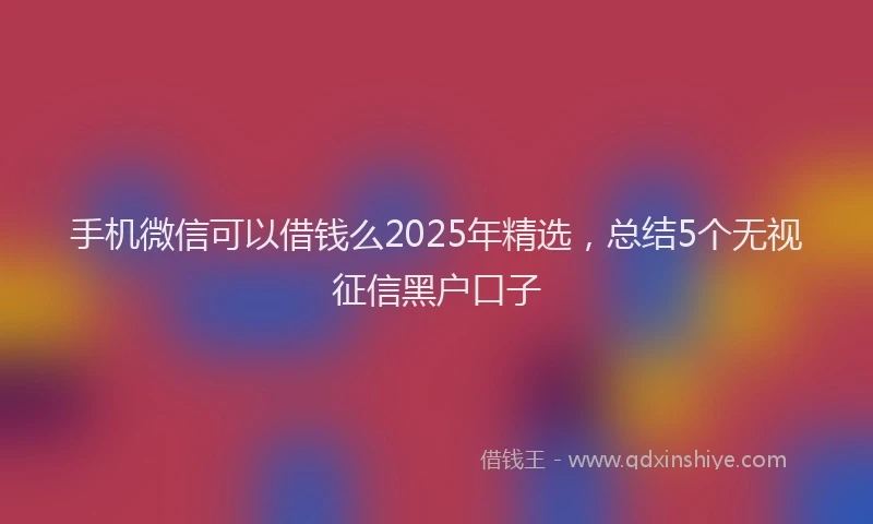 手机微信可以借钱么2025年精选，总结5个无视征信黑户口子