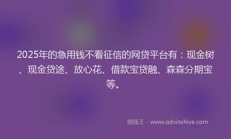 2025年的急用钱不看征信的网贷平台有：现金树、现金贷途、放心花、借款宝贷融、森森分期宝等。