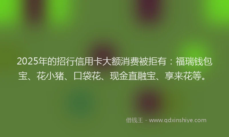 2025年的招行信用卡大额消费被拒有：福瑞钱包宝、花小猪、口袋花、现金直融宝、享来花等。