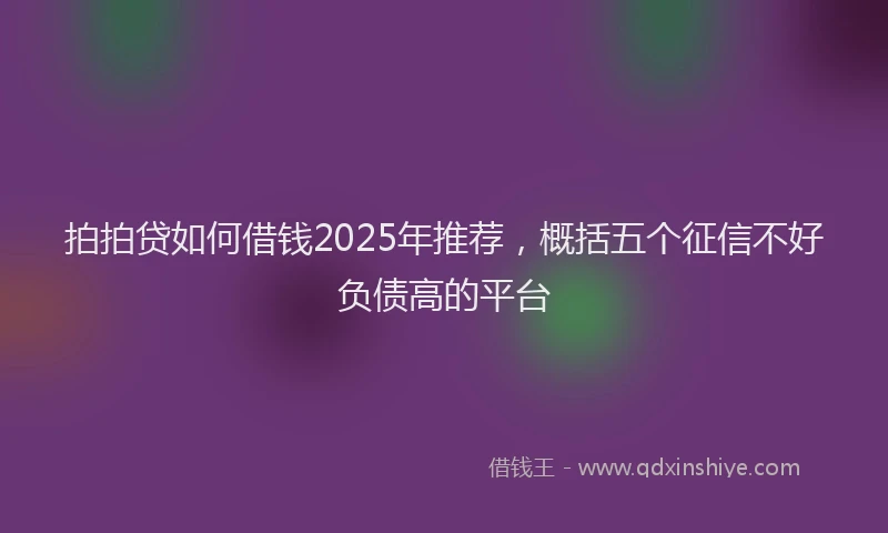 拍拍贷如何借钱2025年推荐，概括五个征信不好负债高的平台