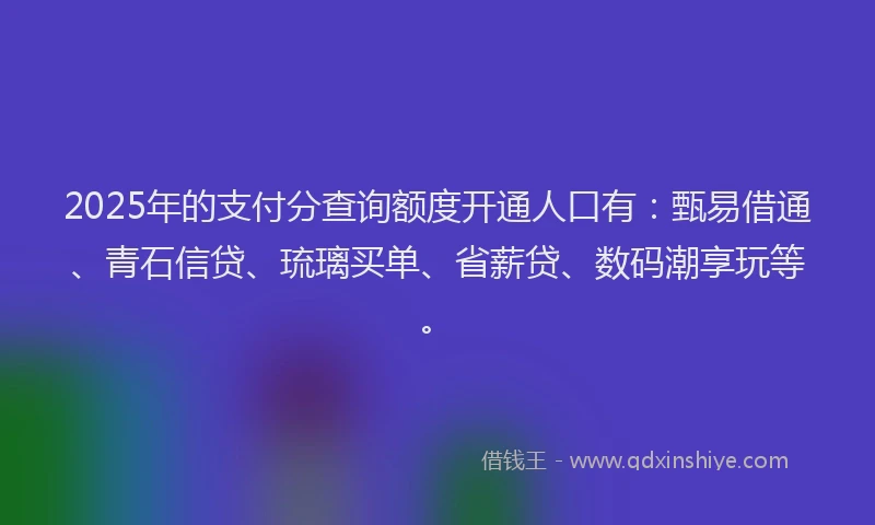 2025年的支付分查询额度开通人口有：甄易借通、青石信贷、琉璃买单、省薪贷、数码潮享玩等。