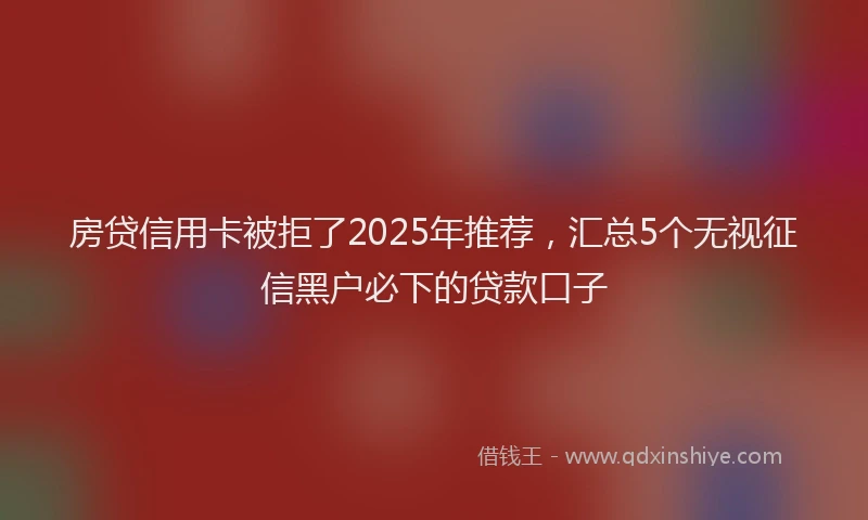 房贷信用卡被拒了2025年推荐，汇总5个无视征信黑户必下的贷款口子