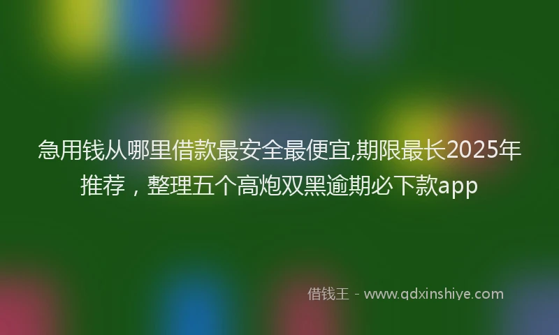 急用钱从哪里借款最安全最便宜,期限最长2025年推荐，整理五个高炮双黑逾期必下款app