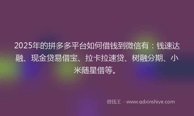 2025年的拼多多平台如何借钱到微信有：钱速达融、现金贷易借宝、拉卡拉速贷、树融分期、小米随星借等。