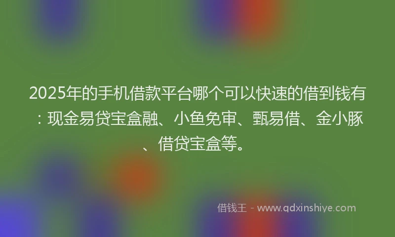 2025年的手机借款平台哪个可以快速的借到钱有：现金易贷宝盒融、小鱼免审、甄易借、金小豚、借贷宝盒等。