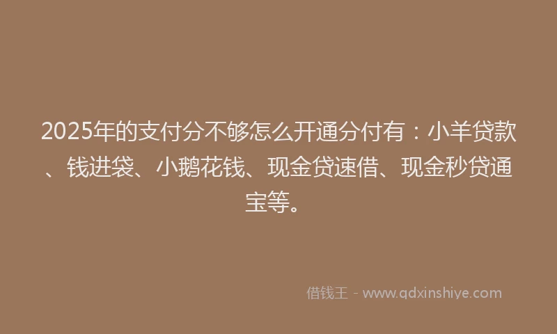 2025年的支付分不够怎么开通分付有：小羊贷款、钱进袋、小鹅花钱、现金贷速借、现金秒贷通宝等。