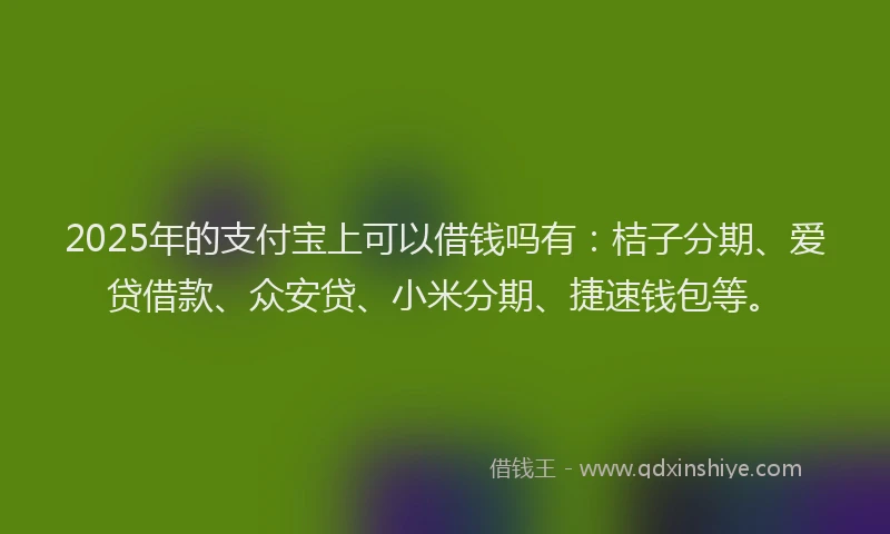2025年的支付宝上可以借钱吗有：桔子分期、爱贷借款、众安贷、小米分期、捷速钱包等。
