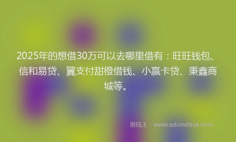 2025年的想借30万可以去哪里借有：旺旺钱包、信和易贷、翼支付甜橙借钱、小赢卡贷、秉鑫商城等。