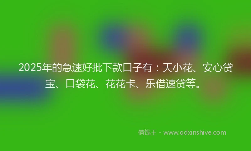 2025年的急速好批下款口子有：天小花、安心贷宝、口袋花、花花卡、乐借速贷等。