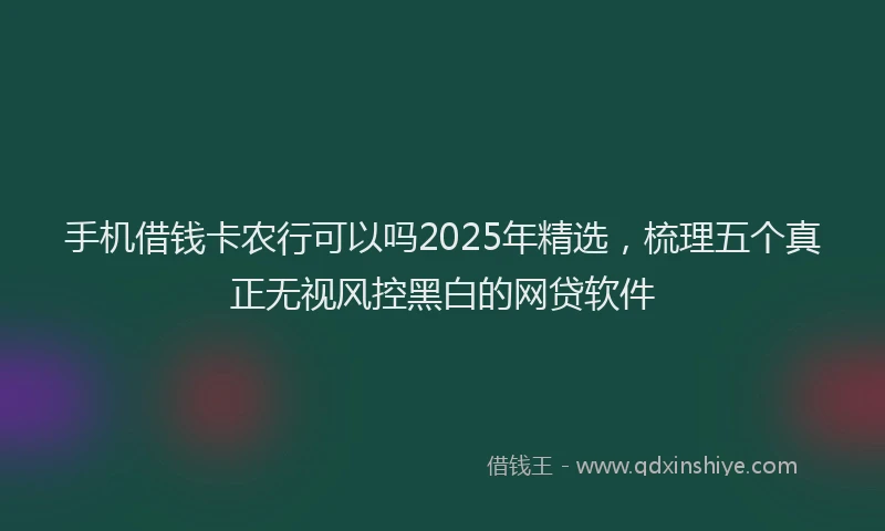 手机借钱卡农行可以吗2025年精选，梳理五个真正无视风控黑白的网贷软件