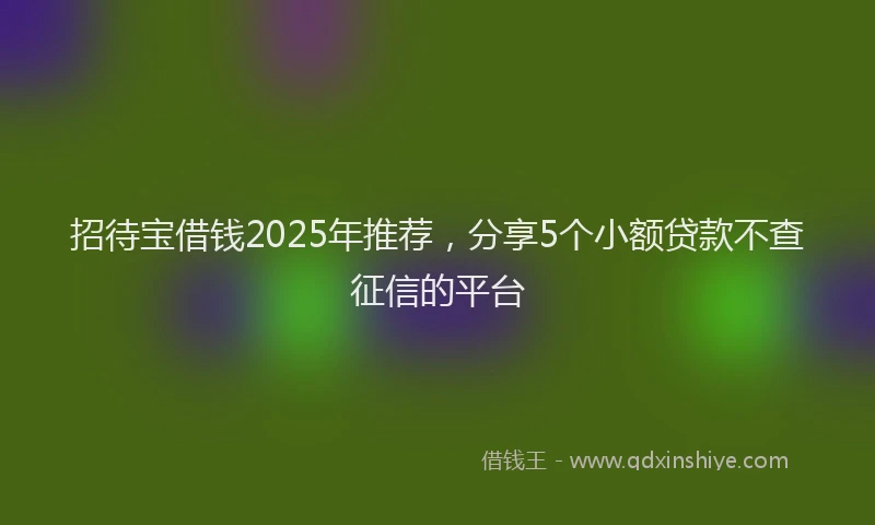 招待宝借钱2025年推荐，分享5个小额贷款不查征信的平台