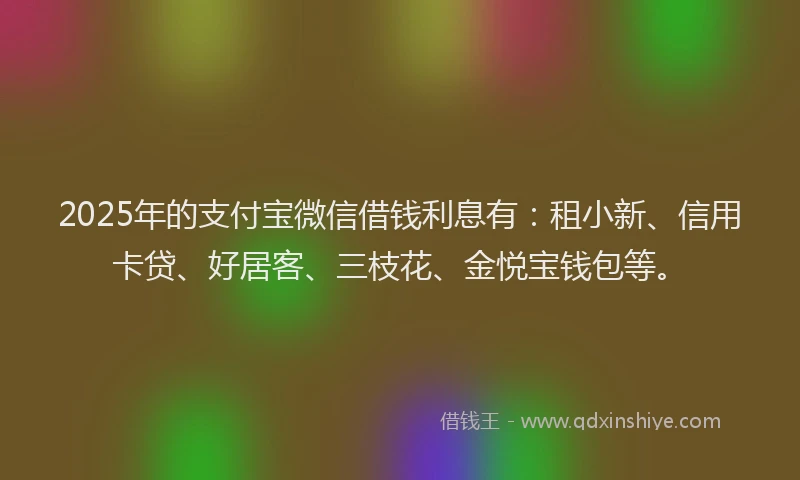 2025年的支付宝微信借钱利息有：租小新、信用卡贷、好居客、三枝花、金悦宝钱包等。