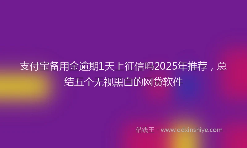 支付宝备用金逾期1天上征信吗2025年推荐，总结五个无视黑白的网贷软件