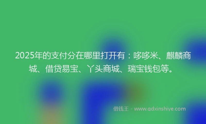 2025年的支付分在哪里打开有：哆哆米、麒麟商城、借贷易宝、丫头商城、瑞宝钱包等。