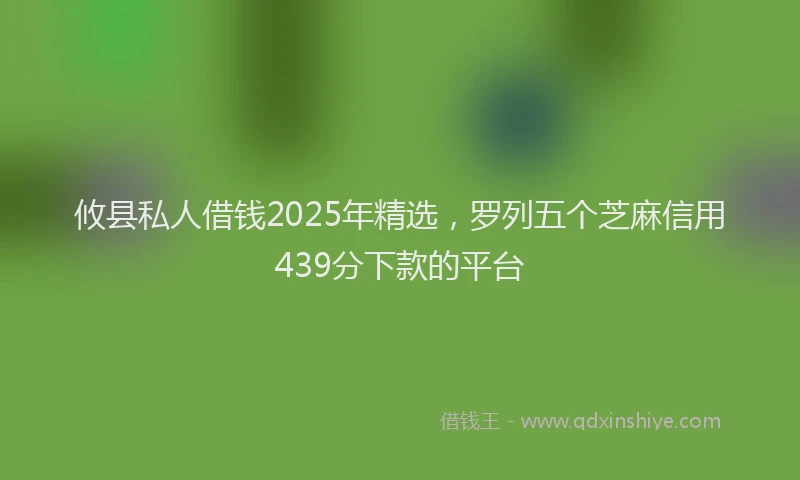 攸县私人借钱2025年精选，罗列五个芝麻信用439分下款的平台