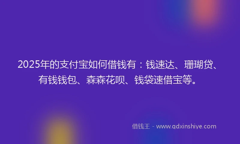 2025年的支付宝如何借钱有：钱速达、珊瑚贷、有钱钱包、森森花呗、钱袋速借宝等。