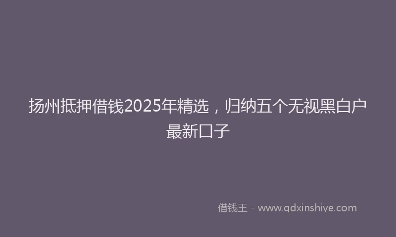 扬州抵押借钱2025年精选，归纳五个无视黑白户最新口子