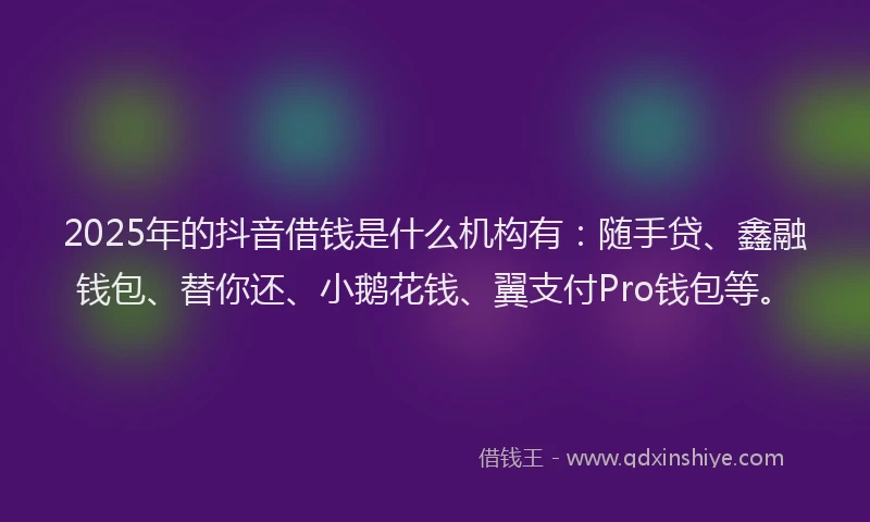 2025年的抖音借钱是什么机构有：随手贷、鑫融钱包、替你还、小鹅花钱、翼支付Pro钱包等。