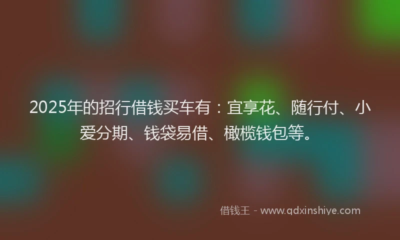 2025年的招行借钱买车有：宜享花、随行付、小爱分期、钱袋易借、橄榄钱包等。