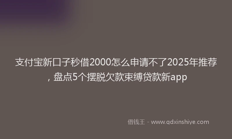 支付宝新口子秒借2000怎么申请不了2025年推荐，盘点5个摆脱欠款束缚贷款新app