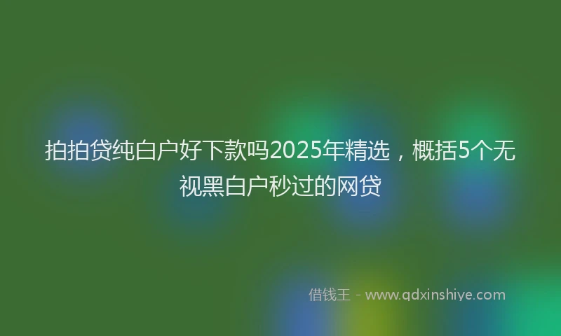 拍拍贷纯白户好下款吗2025年精选，概括5个无视黑白户秒过的网贷