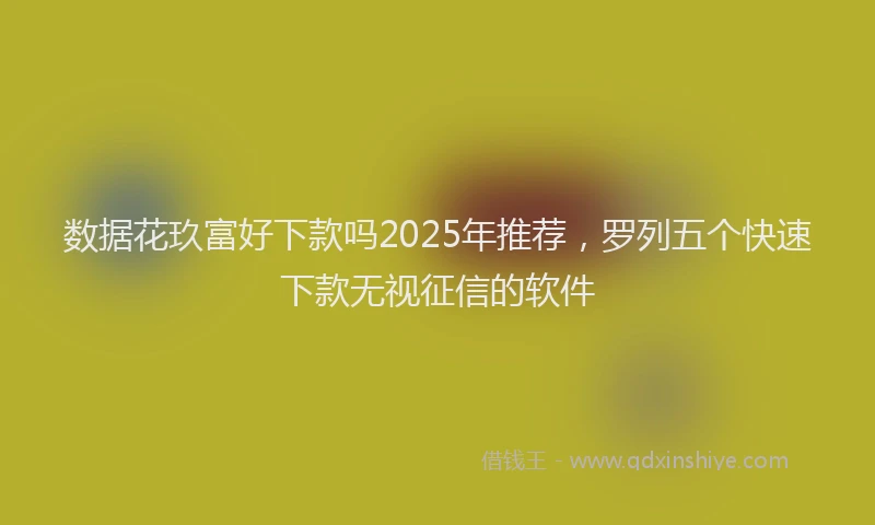 数据花玖富好下款吗2025年推荐，罗列五个快速下款无视征信的软件