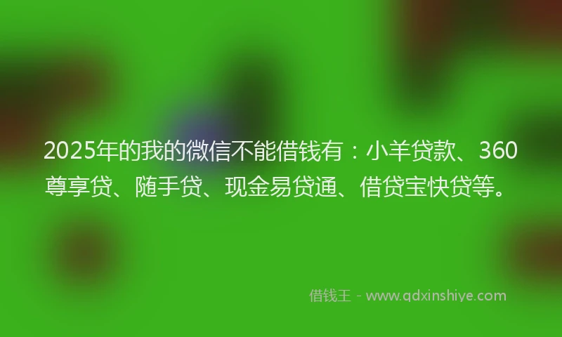2025年的我的微信不能借钱有：小羊贷款、360尊享贷、随手贷、现金易贷通、借贷宝快贷等。