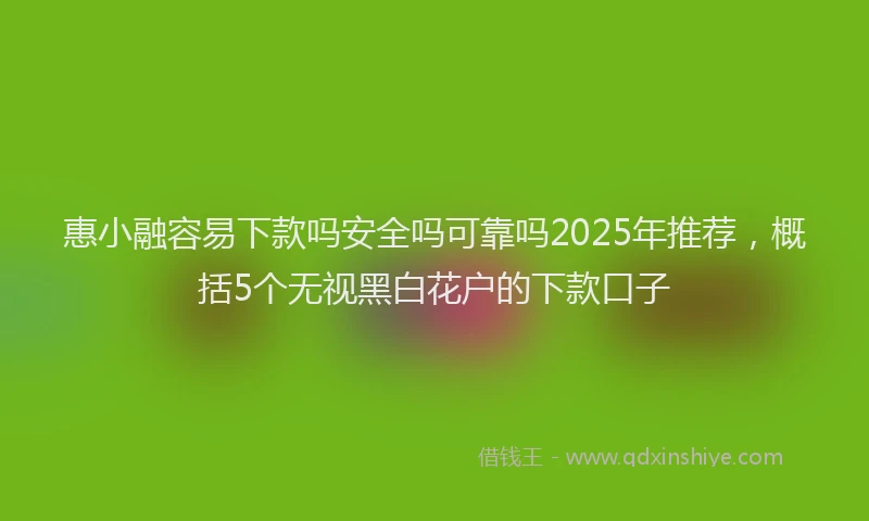 惠小融容易下款吗安全吗可靠吗2025年推荐，概括5个无视黑白花户的下款口子