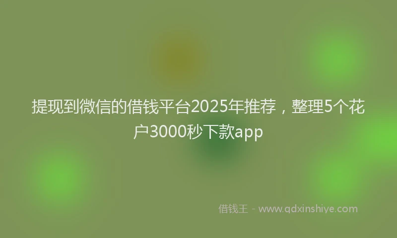 提现到微信的借钱平台2025年推荐，整理5个花户3000秒下款app