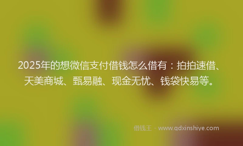2025年的想微信支付借钱怎么借有：拍拍速借、天美商城、甄易融、现金无忧、钱袋快易等。