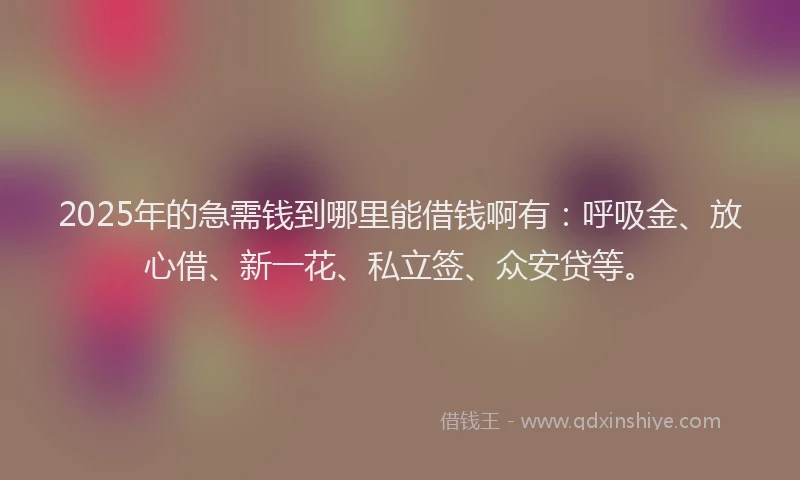2025年的急需钱到哪里能借钱啊有：呼吸金、放心借、新一花、私立签、众安贷等。