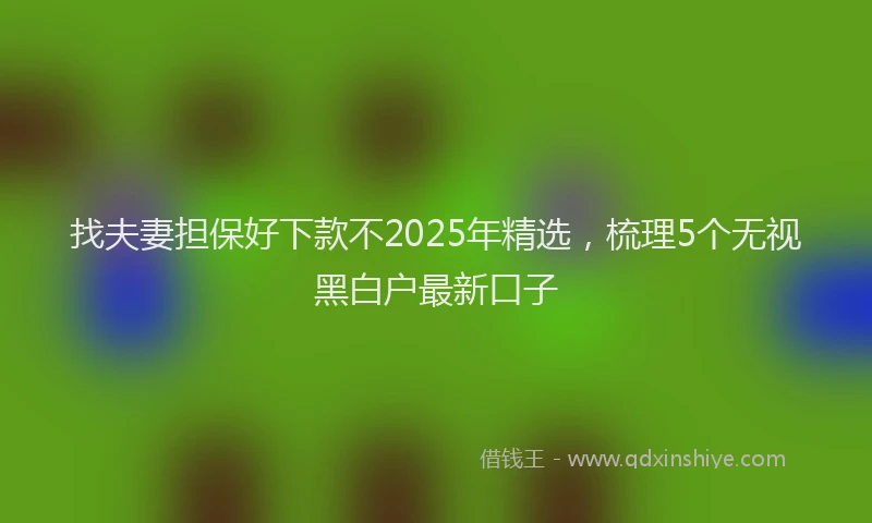 找夫妻担保好下款不2025年精选，梳理5个无视黑白户最新口子