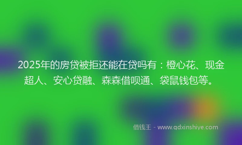 2025年的房贷被拒还能在贷吗有：橙心花、现金超人、安心贷融、森森借呗通、袋鼠钱包等。