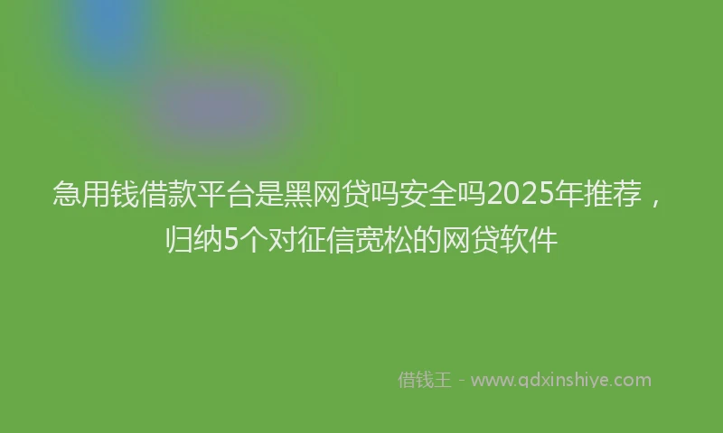 急用钱借款平台是黑网贷吗安全吗2025年推荐，归纳5个对征信宽松的网贷软件