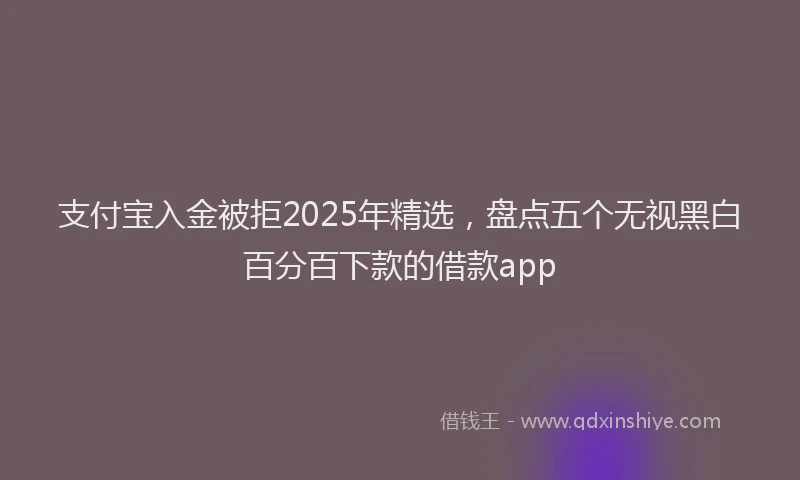 支付宝入金被拒2025年精选，盘点五个无视黑白百分百下款的借款app