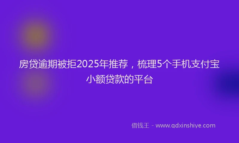 房贷逾期被拒2025年推荐，梳理5个手机支付宝小额贷款的平台