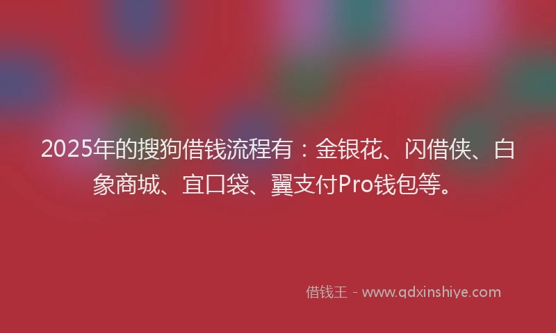 2025年的搜狗借钱流程有：金银花、闪借侠、白象商城、宜口袋、翼支付Pro钱包等。