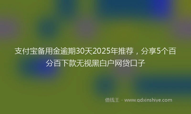 支付宝备用金逾期30天2025年推荐，分享5个百分百下款无视黑白户网贷口子