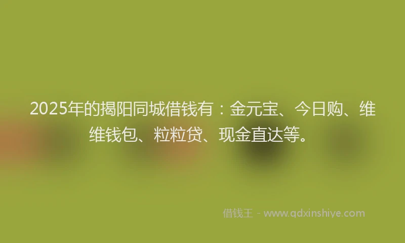 2025年的揭阳同城借钱有：金元宝、今日购、维维钱包、粒粒贷、现金直达等。