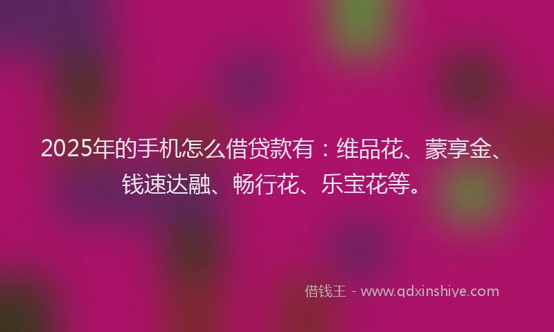2025年的手机怎么借贷款有：维品花、蒙享金、钱速达融、畅行花、乐宝花等。
