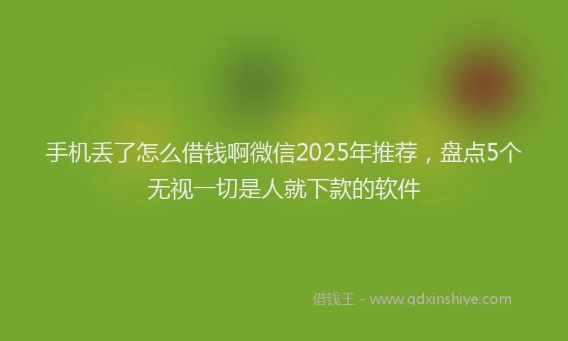 手机丢了怎么借钱啊微信2025年推荐，盘点5个无视一切是人就下款的软件