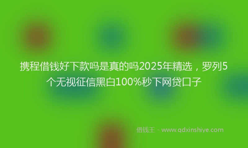 携程借钱好下款吗是真的吗2025年精选，罗列5个无视征信黑白100%秒下网贷口子