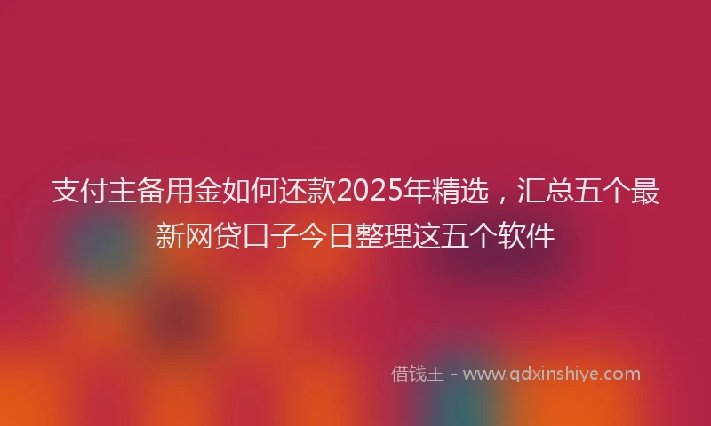 支付主备用金如何还款2025年精选，汇总五个最新网贷口子今日整理这五个软件