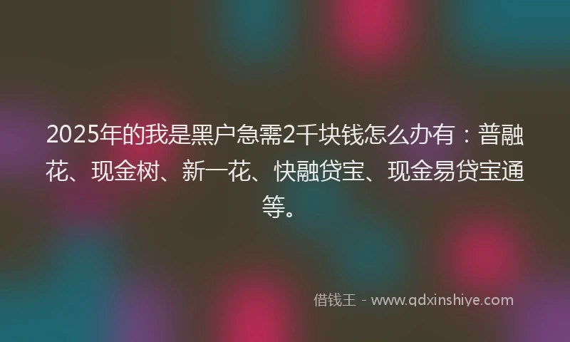 2025年的我是黑户急需2千块钱怎么办有：普融花、现金树、新一花、快融贷宝、现金易贷宝通等。