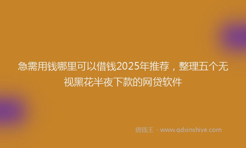 急需用钱哪里可以借钱2025年推荐，整理五个无视黑花半夜下款的网贷软件
