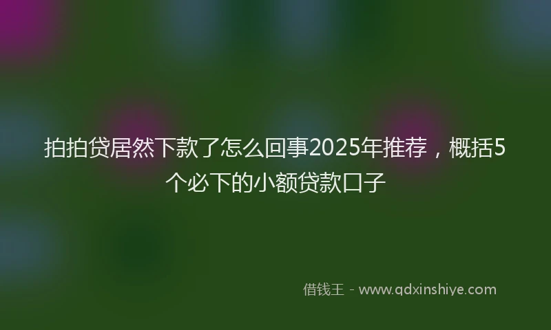 拍拍贷居然下款了怎么回事2025年推荐，概括5个必下的小额贷款口子